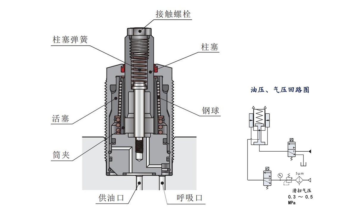 THSDRN2024-画册目录改_61.jpg