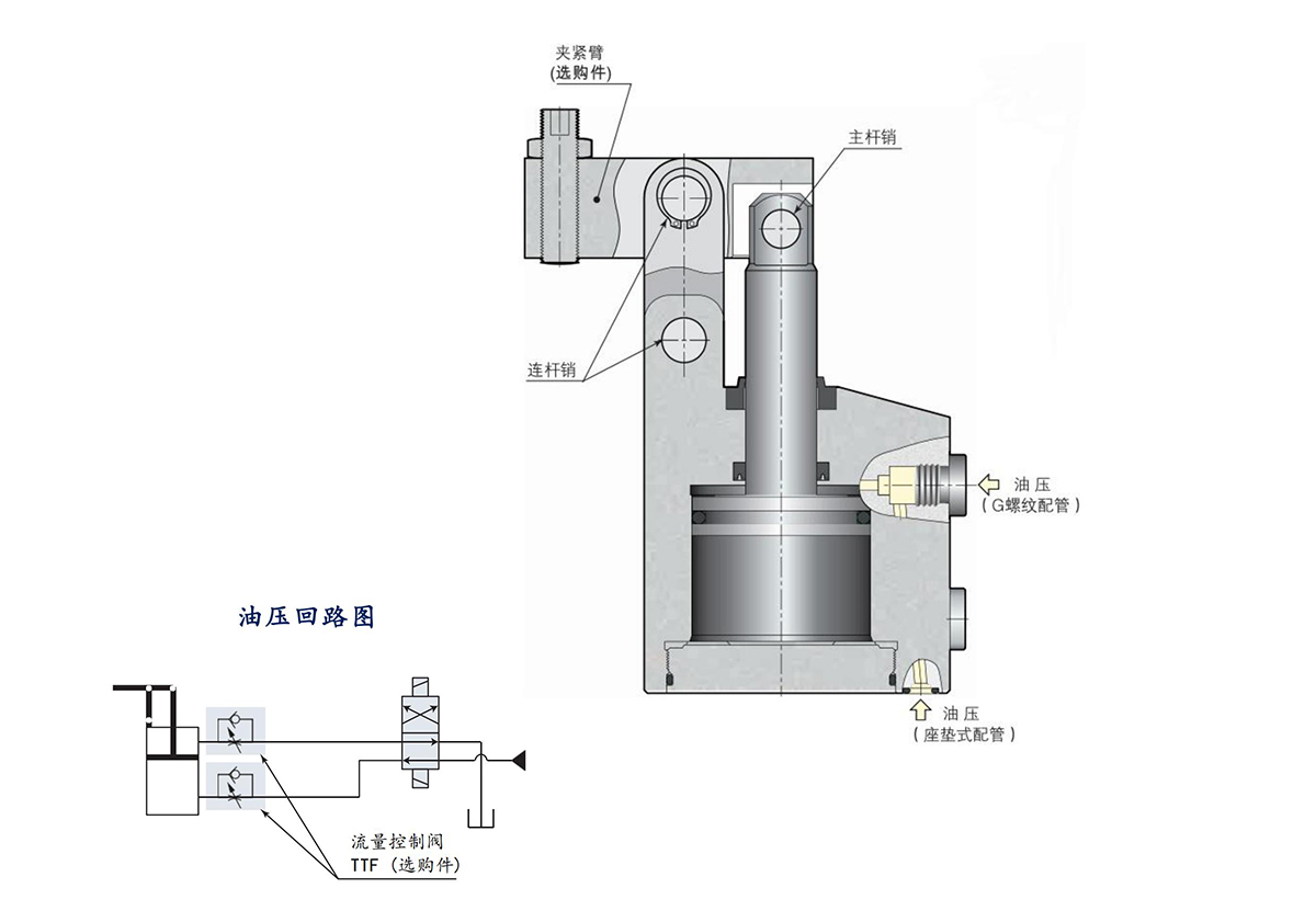 THSDRN2024-画册_154.jpg